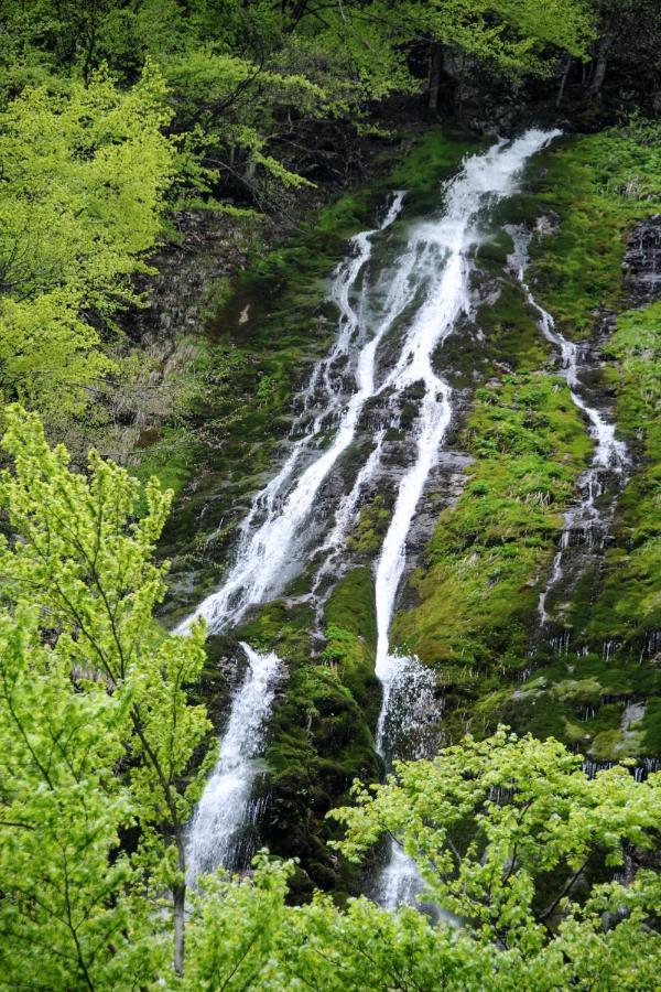 Gorska Hiska Vogar Nad Bohinjskim Jezerom מראה חיצוני תמונה